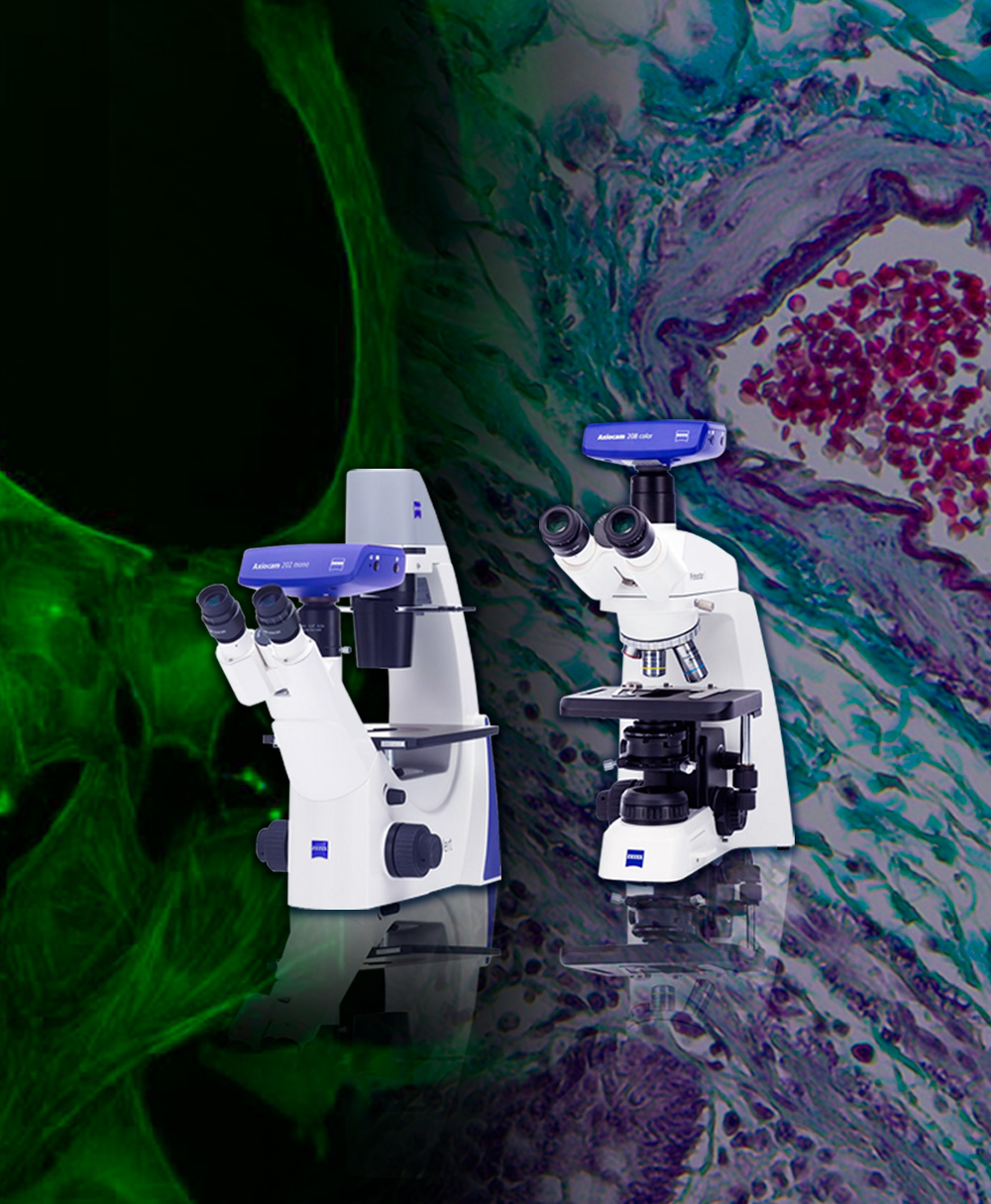 Microscopios de campo amplio